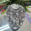 ORTHOCERAS FOSSIL BOWL – The Legacy of the Ancient Ocean